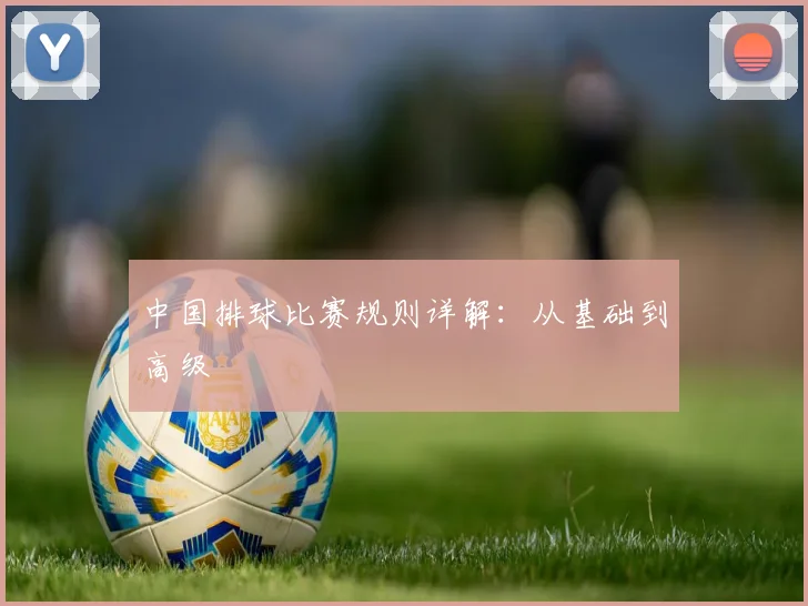 中国排球比赛规则详解:从基础到高级